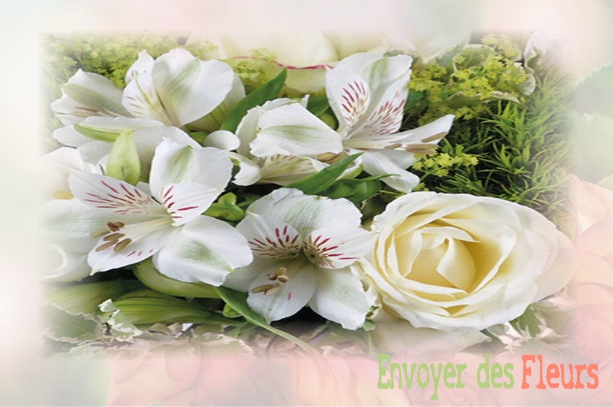 envoyer des fleurs à à CHATEAU-D-OLONNE